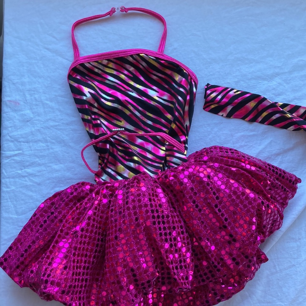 Curtain Call| Metallic Zebra Stripe Dress szCXS